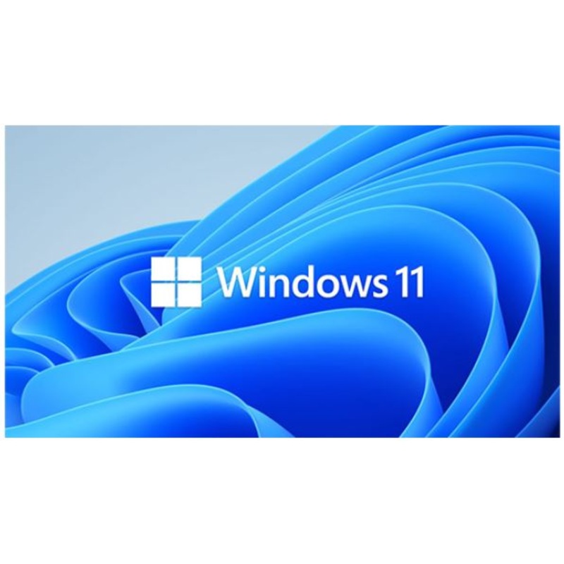 Buy Microsoft Windows 11 Professional for Workstation 64 BIT By Order