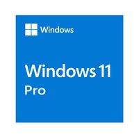 Microsoft Windows 11 Professional OEM 64-bit English 1 Pack DVD. Key NEW FQC-10528