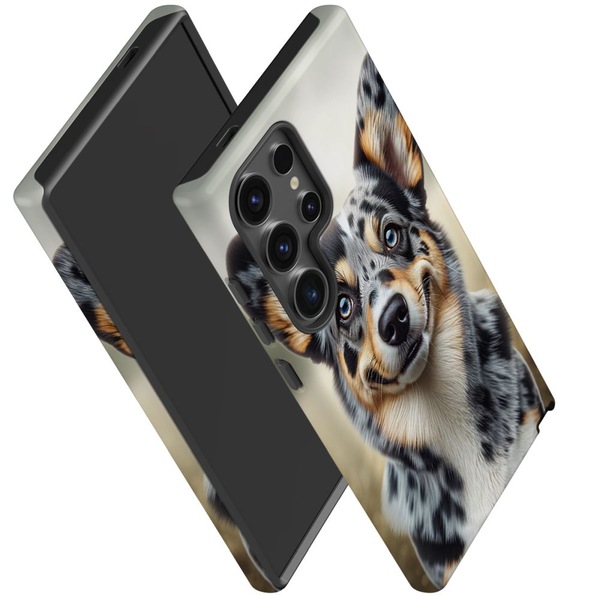 Image 5