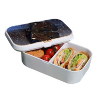 Lunch Box Food Container Snack Picnic Authentic Wood Strap Cutlery Magical