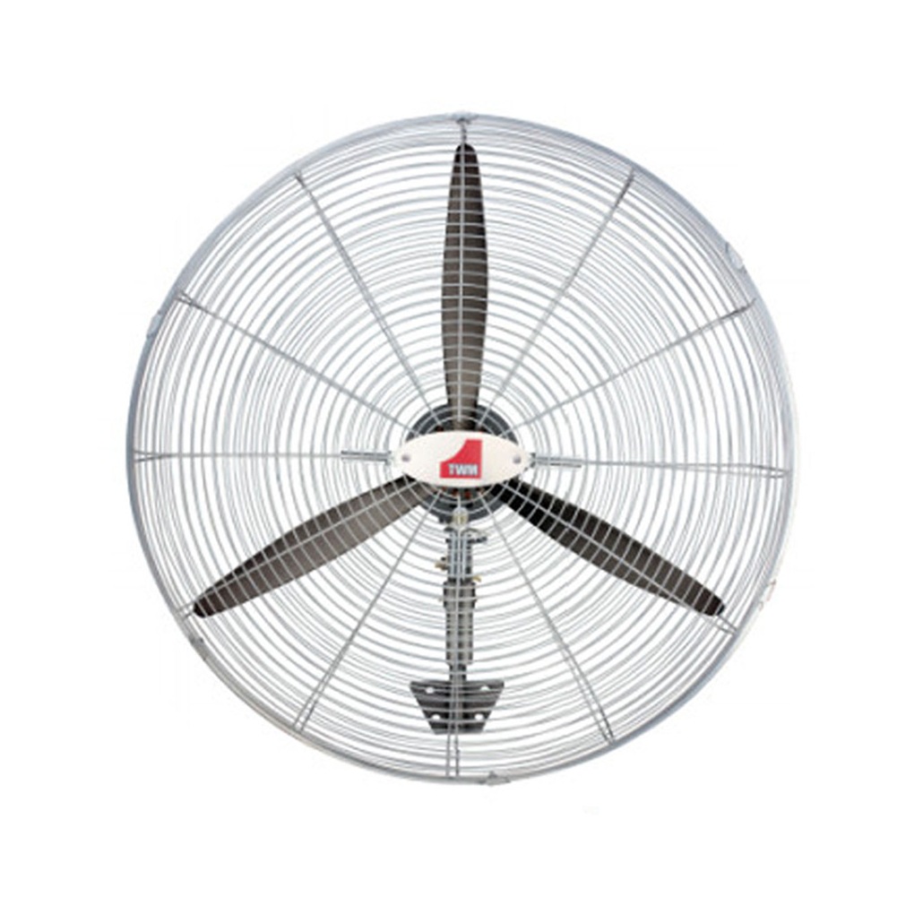 Fan Oscillating Wall Mount Fan 