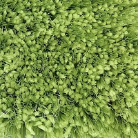 Pluto Light Green Shag Rug 150x220cm