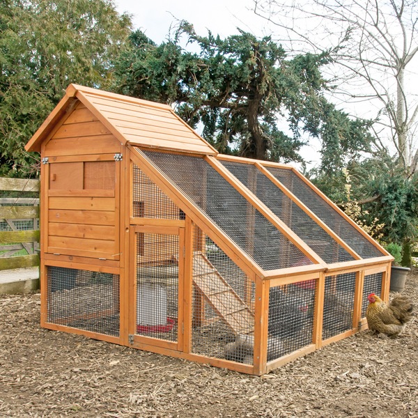 Image 9