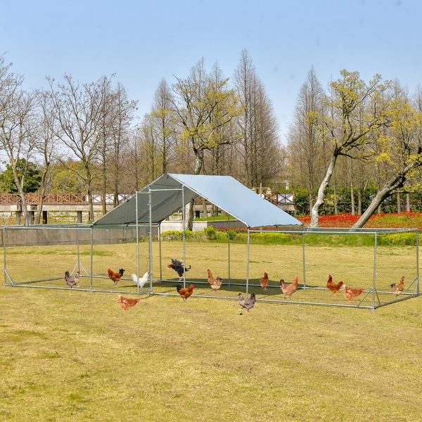 Image 8