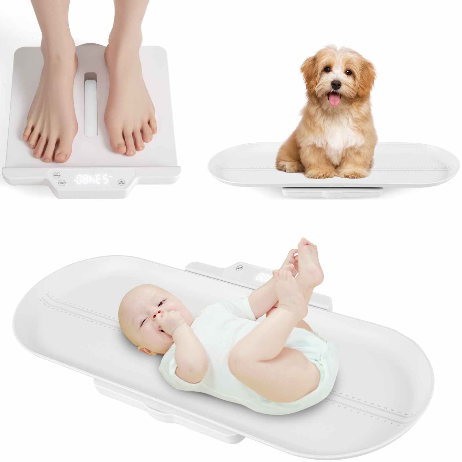 Buy Costway Smart Body Scale w/Detachable Tray for Weight & Height APP ...
