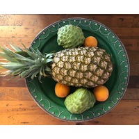 Fez Furniture & Homewares Safi Large Shallow Bowl with Silver Nickel Embellishments in Emerald