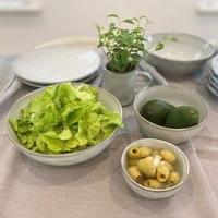 Club Santorini Indigo Dinner Set in Natural