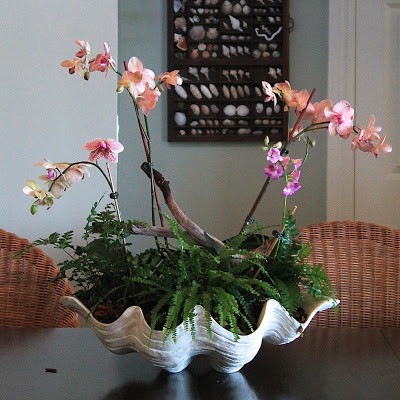 Image 22