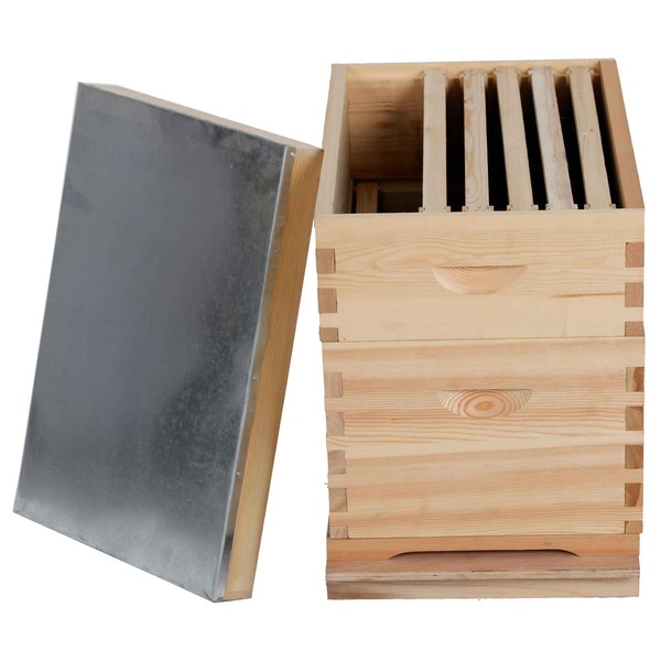 Image 3