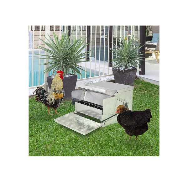 Image 5