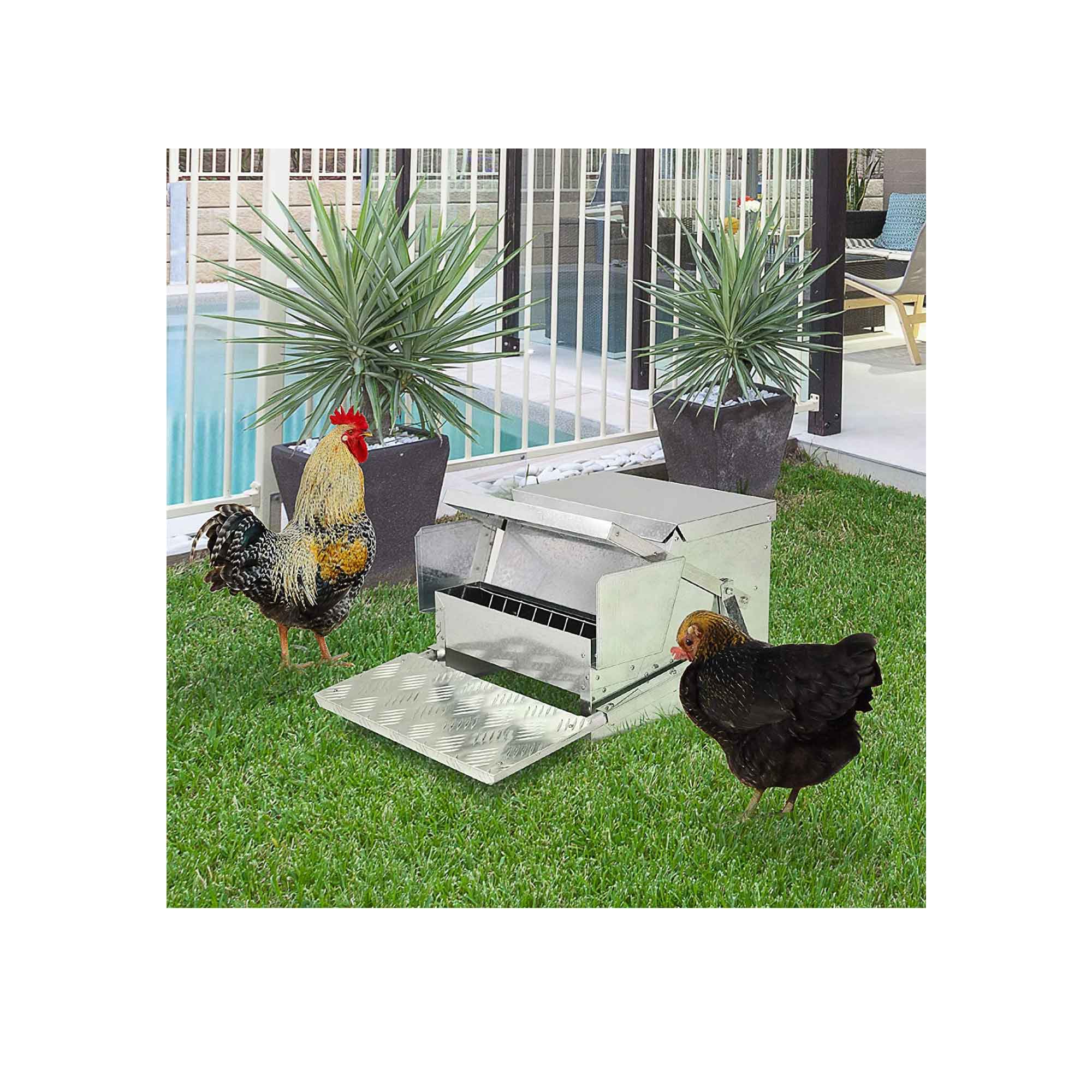 Image 5