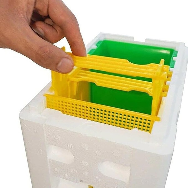 Image 3