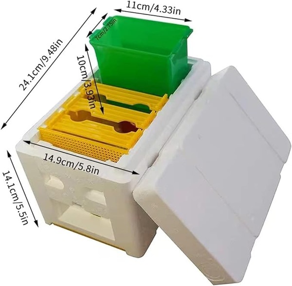 Image 4