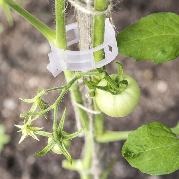 Image 9