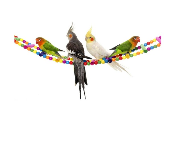 Image 12
