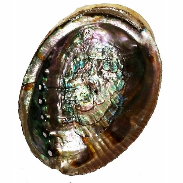 Image 4