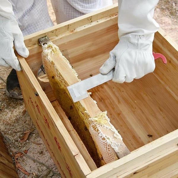 Image 9