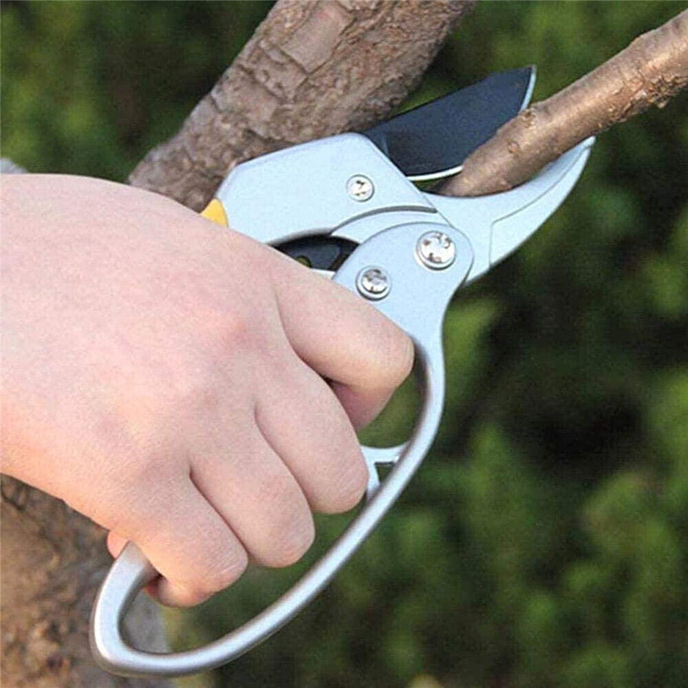 Pruning Shears Plant Scissors Trim Fruit Tree Snips Branch Garden Secateurs Tool