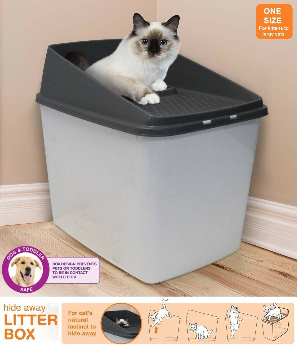 Kitty litter mess best sale