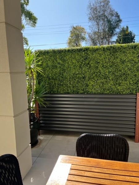 Image 10