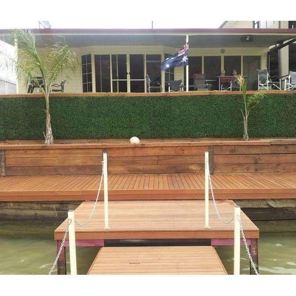 Image 6