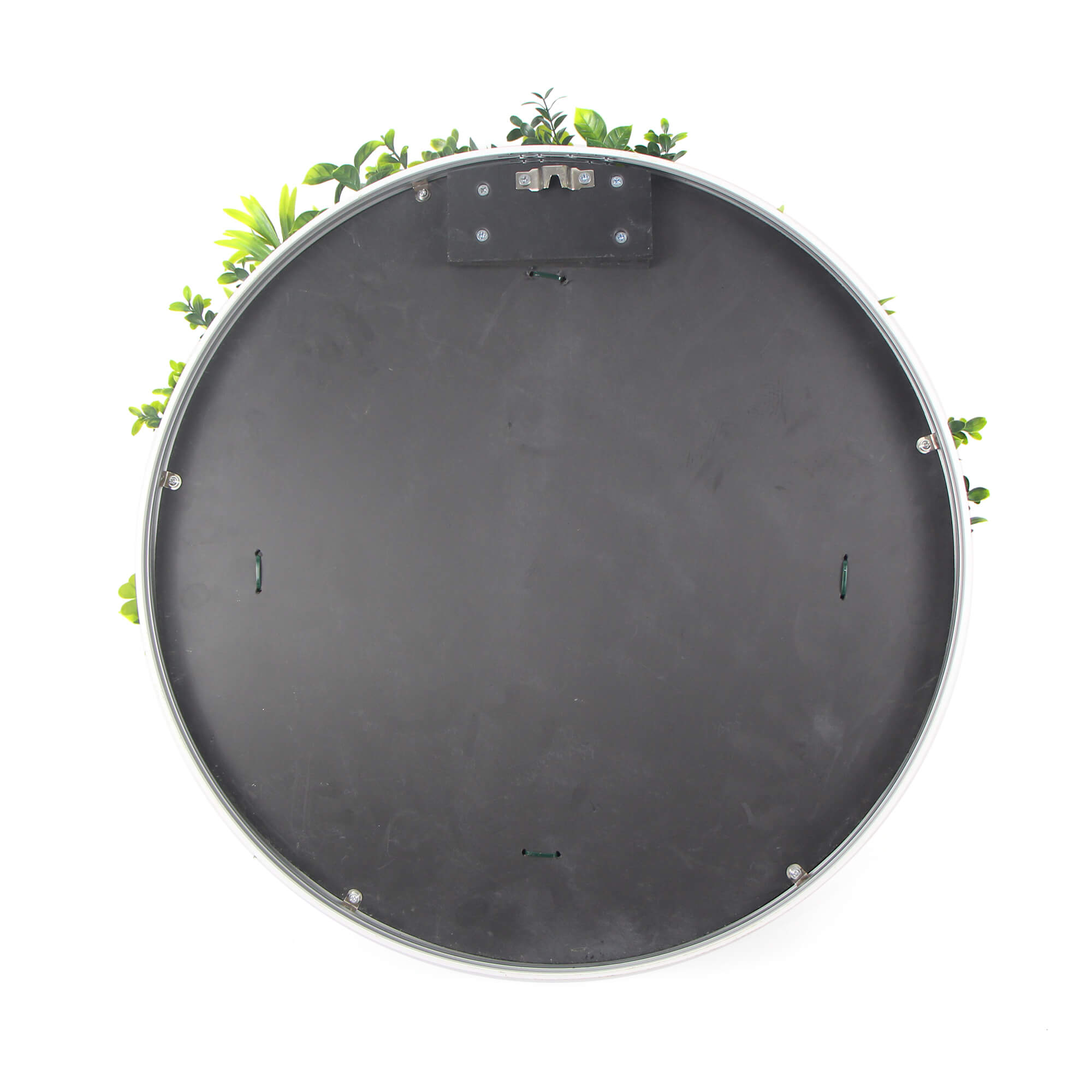 Image 7