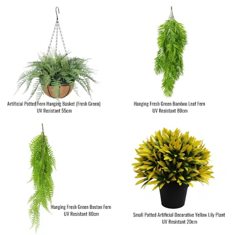 Buy Hanging Basket, Ferns, and Small Potted Plant Bundle MyDeal