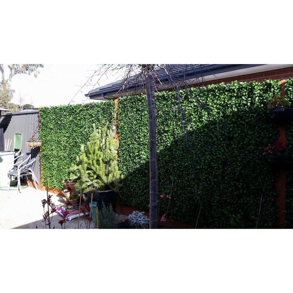 Image 7