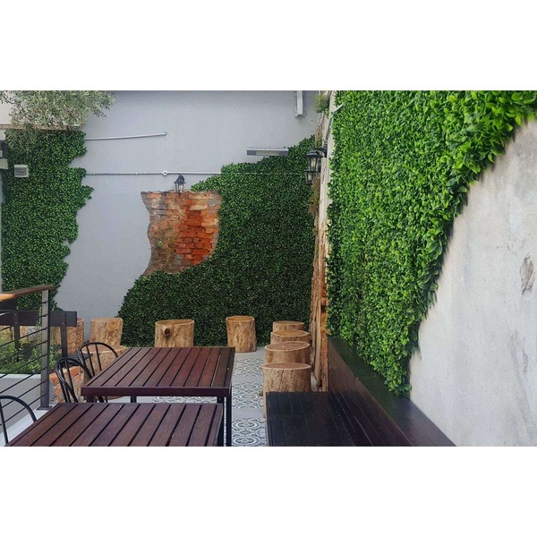 Image 11