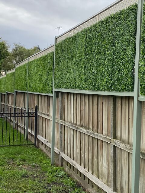 Image 16