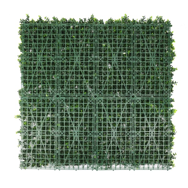 Image 4