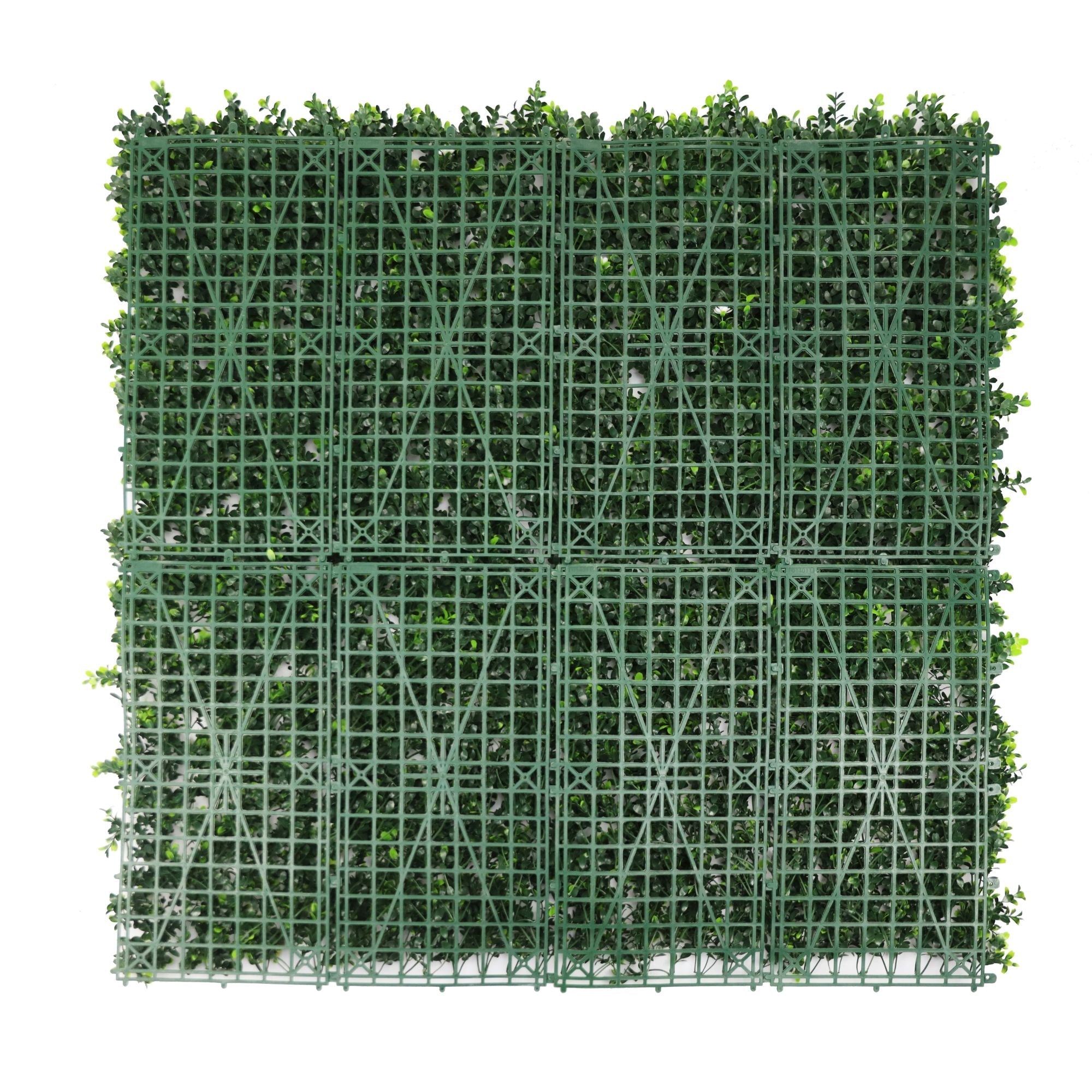 Image 4
