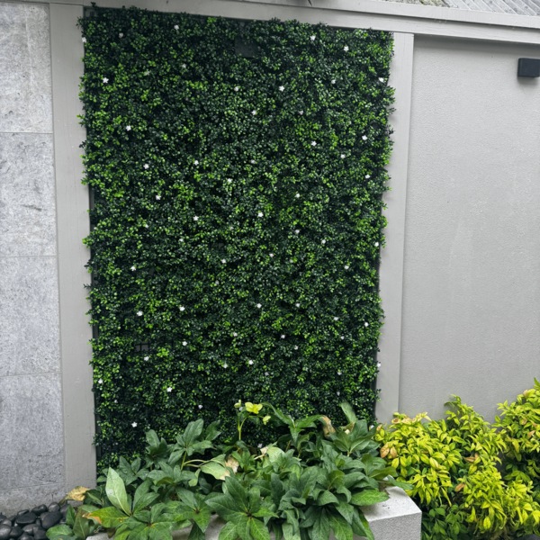 Image 12