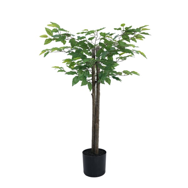 Image 7