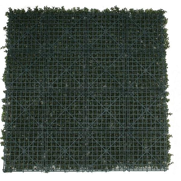 Image 4