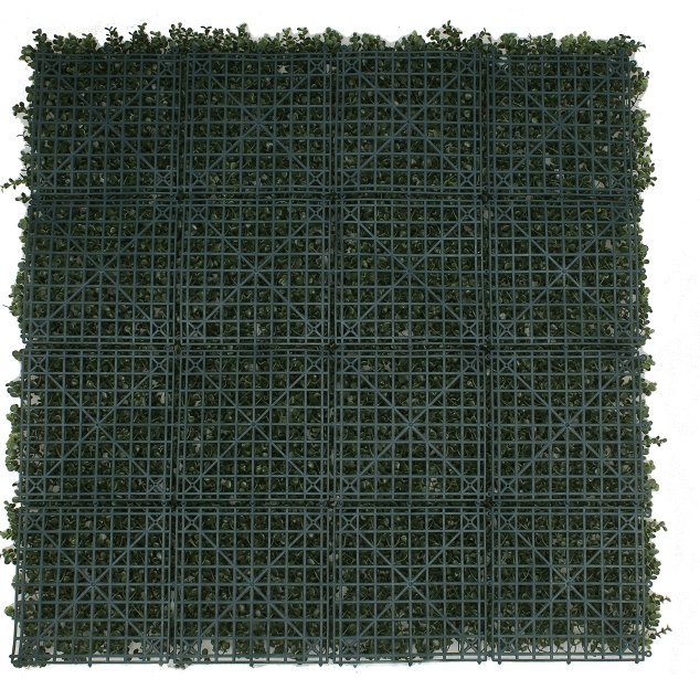 Image 4