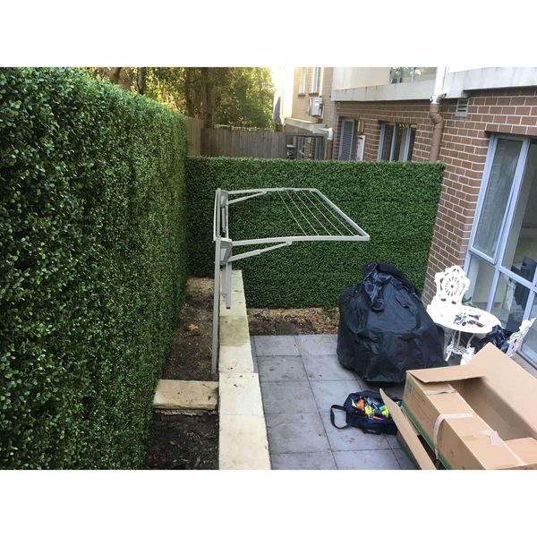 Image 6
