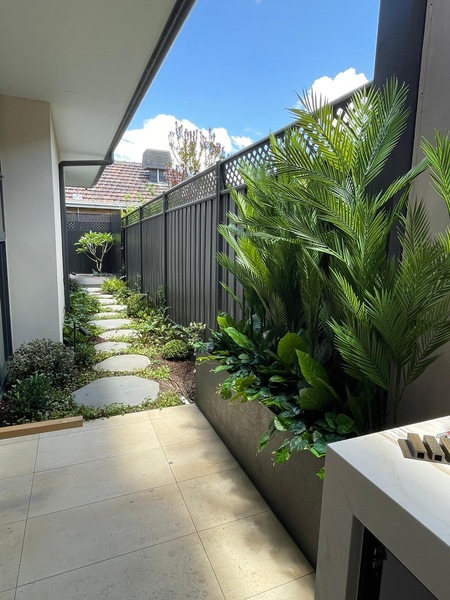 Image 5