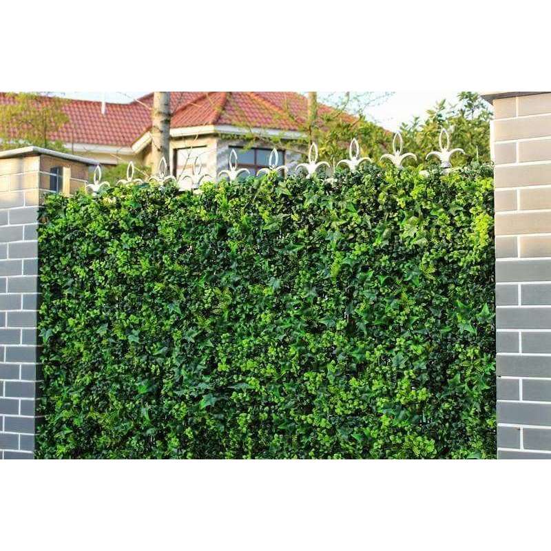 Image 8