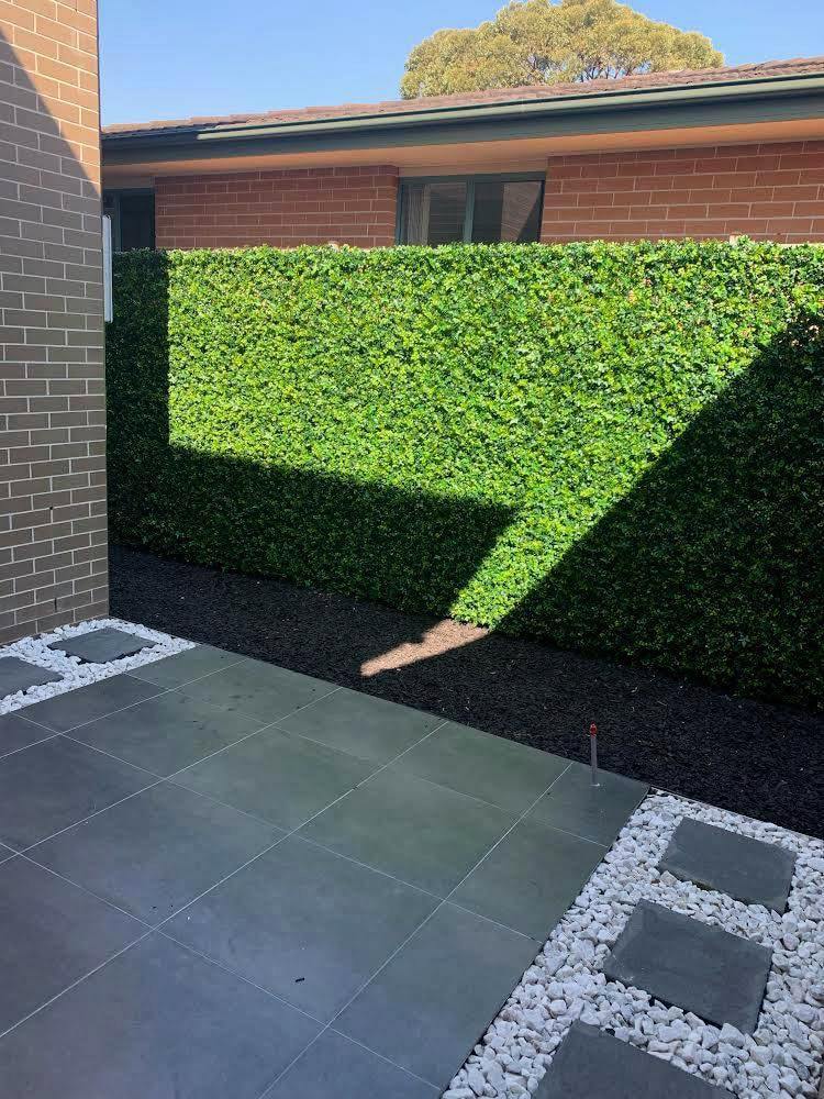 Image 12