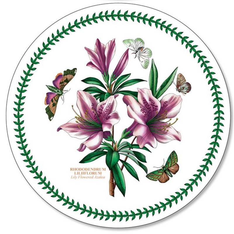 Buy Pimpernel Botanic Garden Round Placemats Set of 4 MyDeal