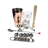 PurpleSpoilz Copper Boston Shaker Set