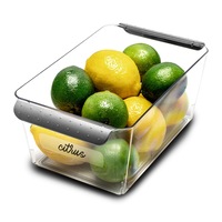 Madesmart Short Deep Bin 25.5 x 15.2 x 10.6cm