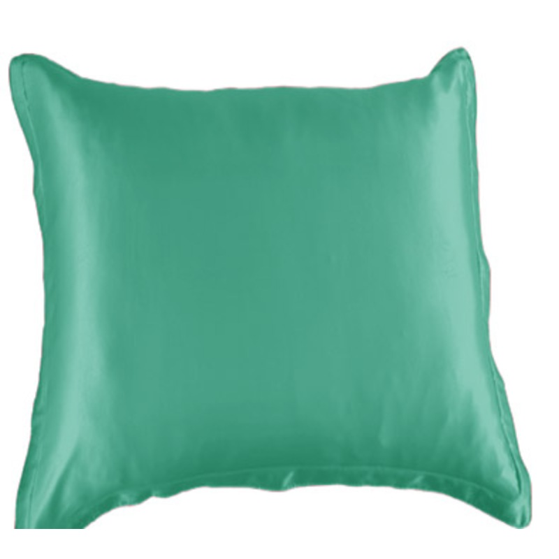 Buy Silky Satin European Pillowcases in Pair MyDeal