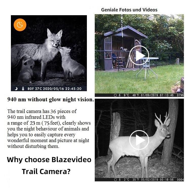 trail camera multi pack