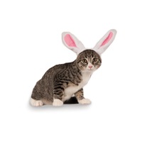 Bunny Ears Pet Headband Accessory