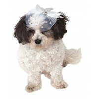Fancy Formal Fascinator for Pets