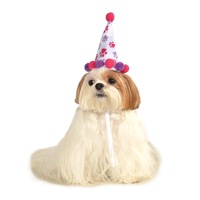 Paw Print Birthday Girl Pet Hat