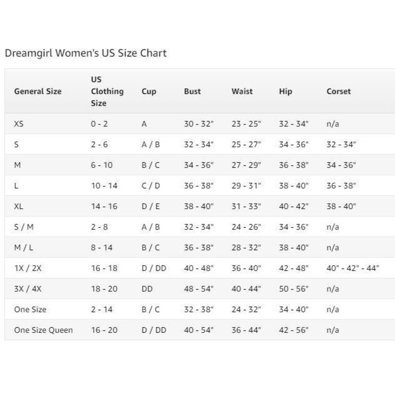 Buy School Teacher / School Girl Reversible Plus Size Costume for