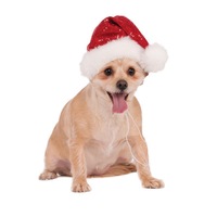 Sequin Santa Pet Hat